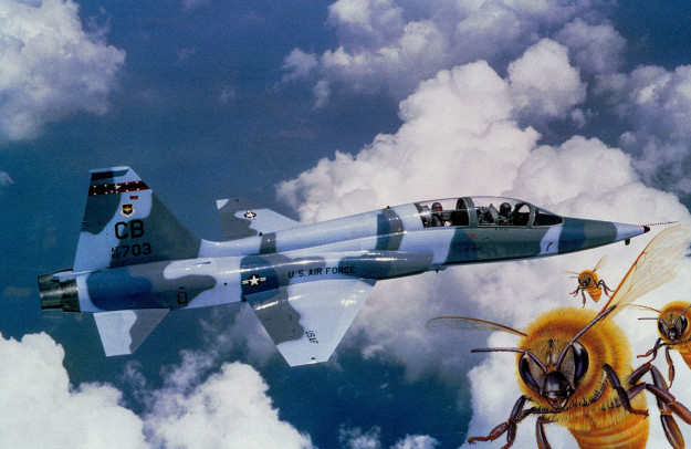 killer-bees-plane